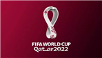 2022卡塔尔世界杯：TikTok卖家如何把握这四年一度的营销机遇？